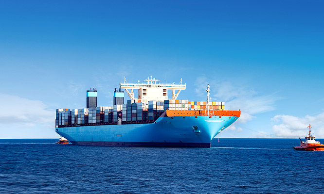 国际海运中,内装与产装详解